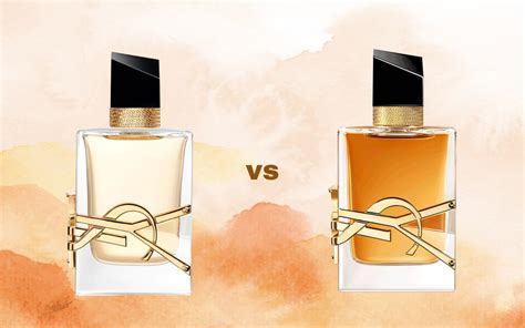 valentino vs ysl|valentino vs ysl libre.